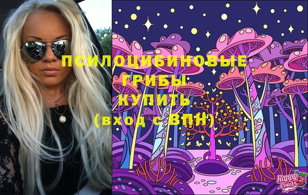 мяу мяу мука Арсеньев