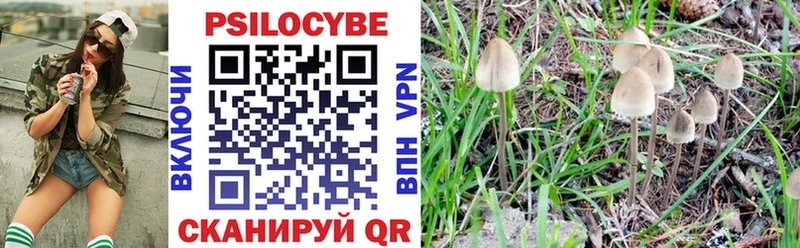 Купить  Касимов  Галлюциногенные грибы ЛСД 